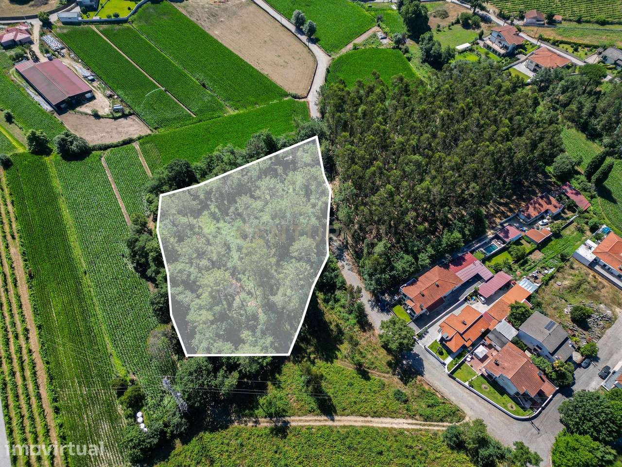 Terreno ER1 com 8.334 m² e 6.600 m² de Construção | Excelente Oportuni - Grande imagem: 5/16