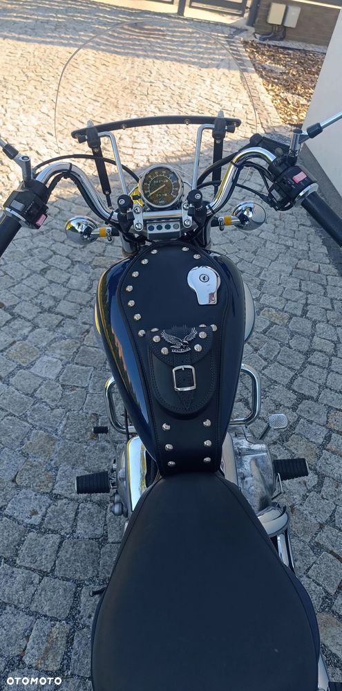 Yamaha Virago - 12