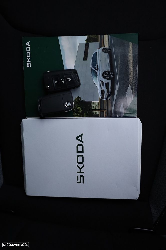 Skoda Kamiq 1.0 TSI DSG - 46