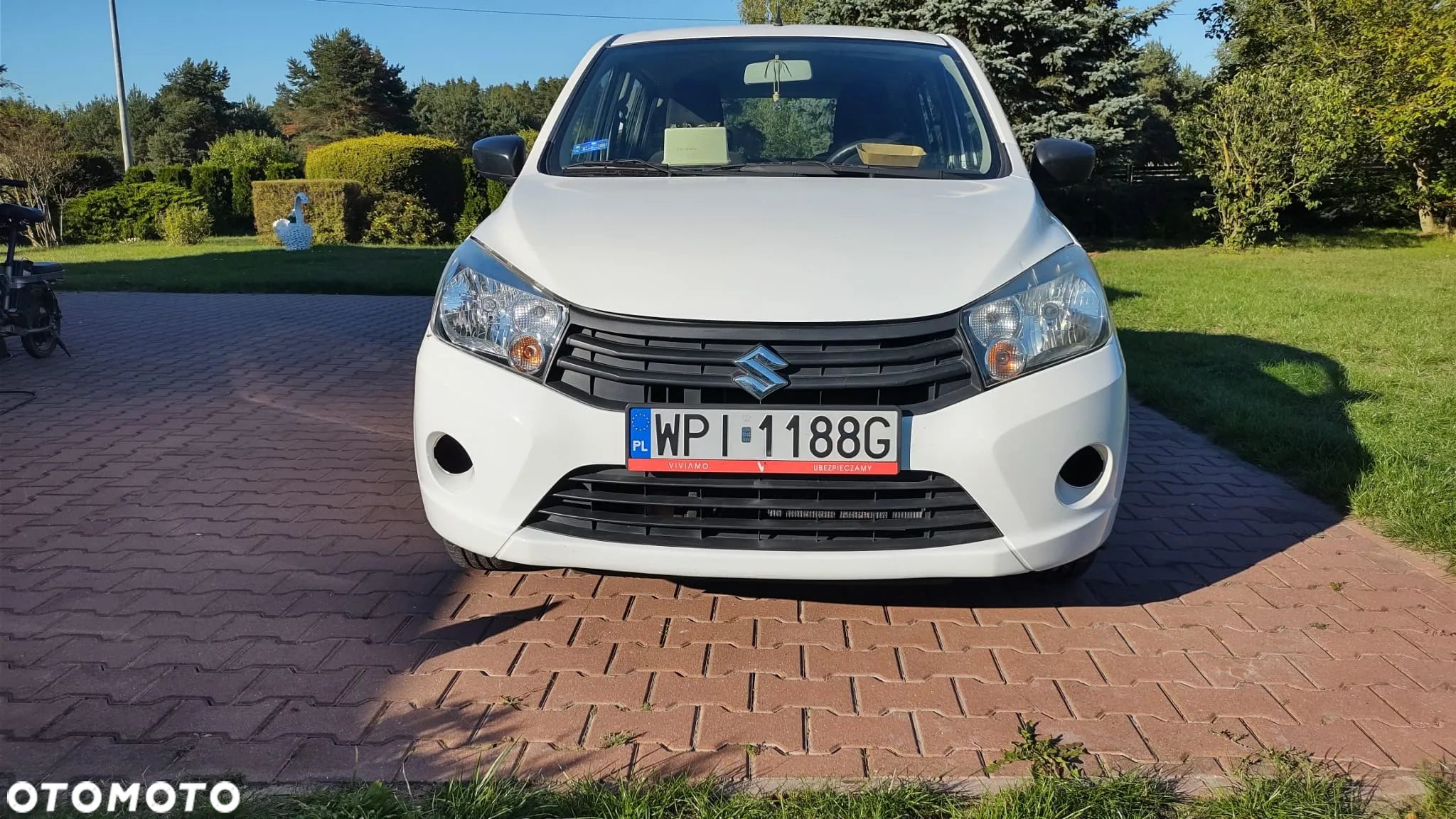 Suzuki Celerio 1.0 Basic - 1