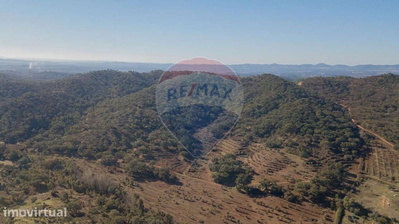 Quinta T0 para venda - Grande imagem: 4/21