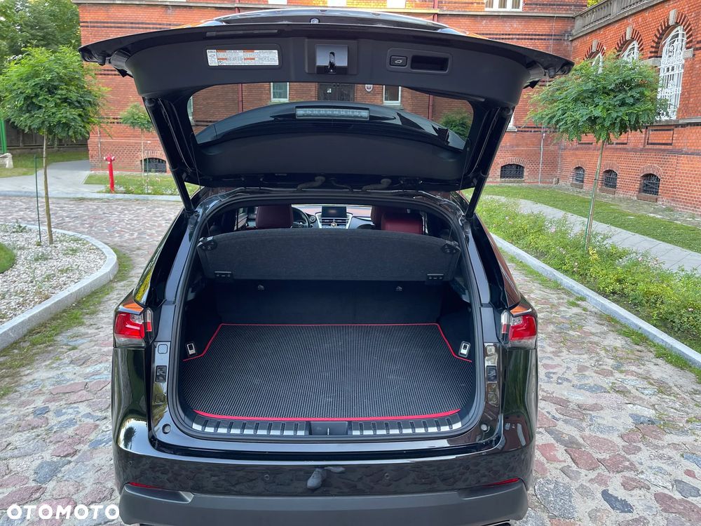 Lexus NX - 14