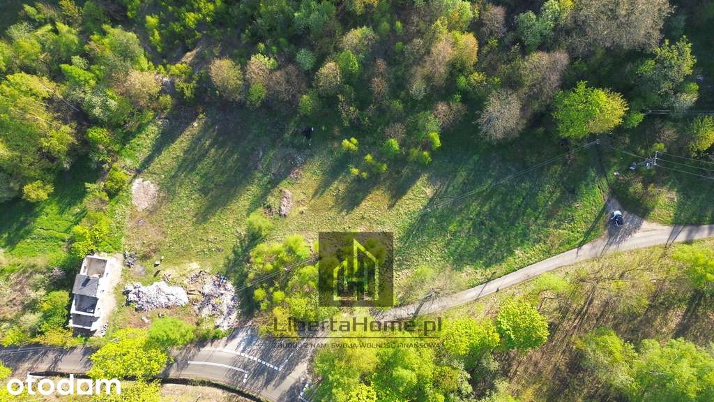 Leśne Zacisze | 2 575 m² | tylko 80 zł/m²! - Pełny obrazek: 3/8