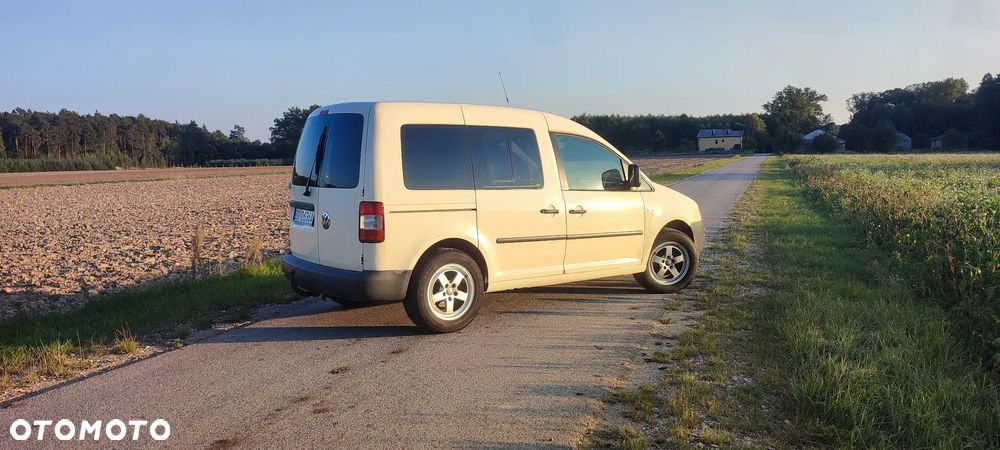Volkswagen Caddy 1.9 TDI DPF DSG Life (7-Si.) - 5