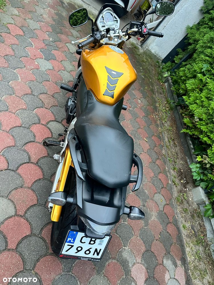 Honda Hornet