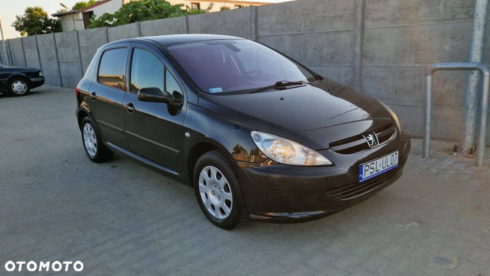 Peugeot 307 - 6