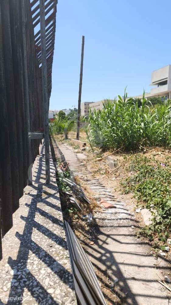 Terreno de 2.000 m2 na Ajuda com elevado potencial de construção. - Grande imagem: 2/5