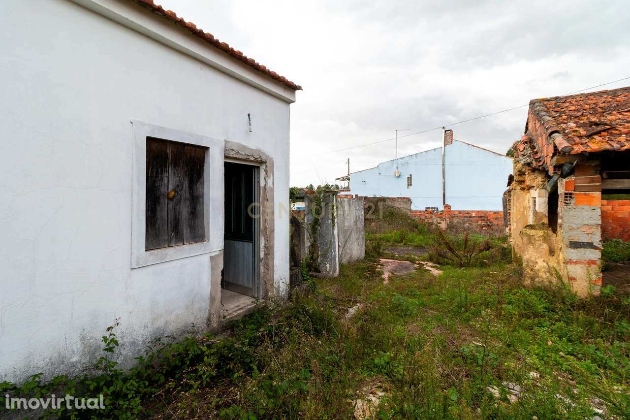 Moradia  independente  com 6500m2 em Alcobaça - Grande imagem: 5/23