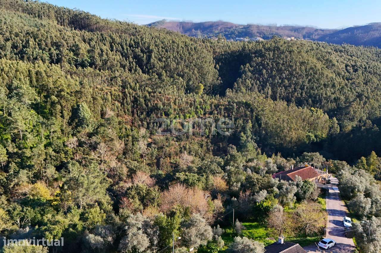 Terreno | Chão do Bispo | 4990 m2 - Grande imagem: 4/8