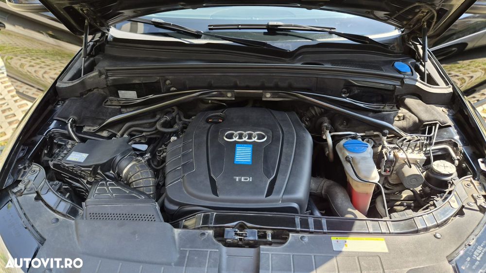 Audi Q5 - 10