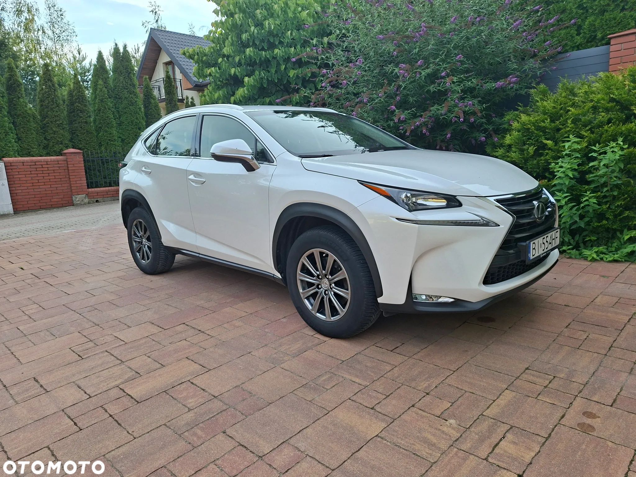 Lexus NX 200t Elite AWD - 1
