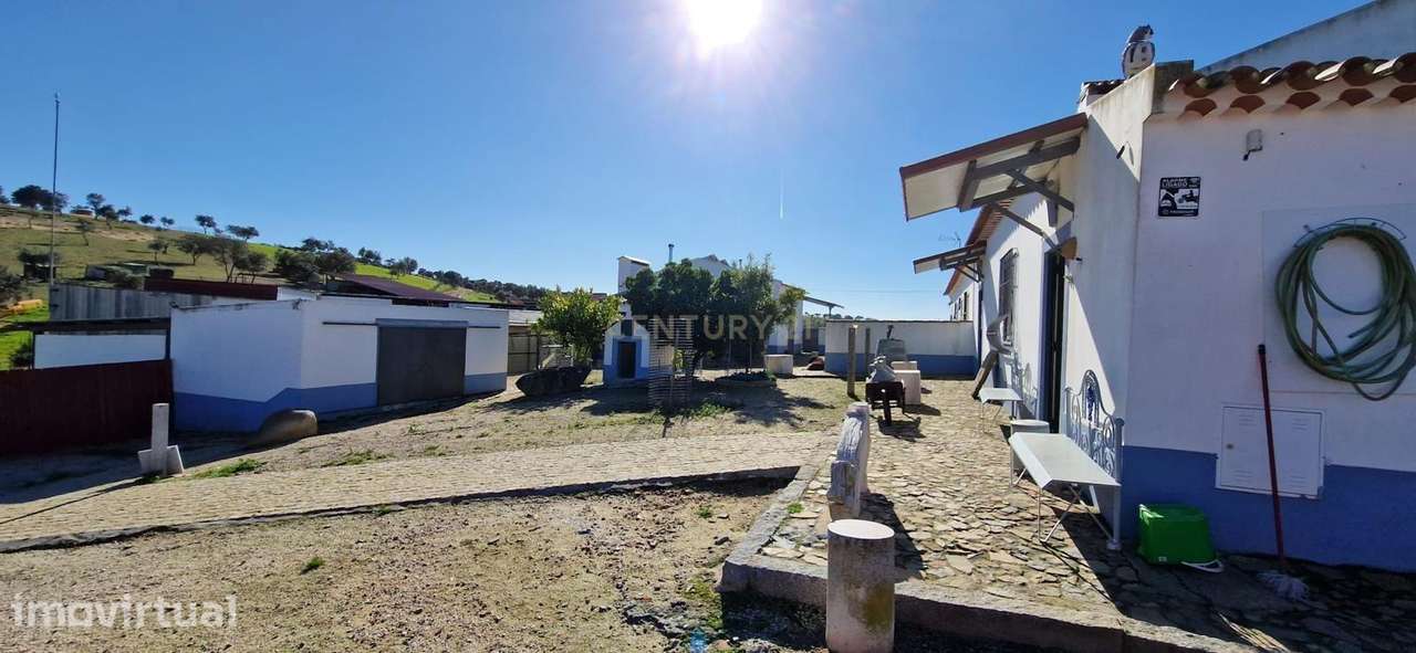 Herdade de 62 Hectares no Coração do Alentejo – Évora  - Agricultura - - Grande imagem: 5/33