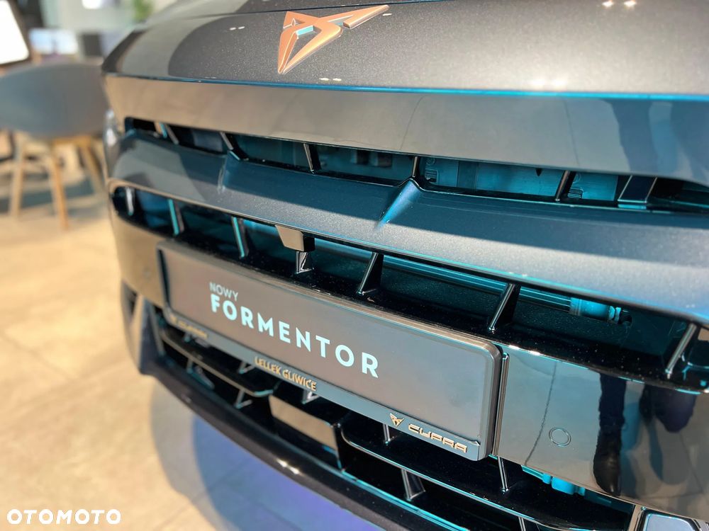 Cupra Formentor 2.0 TDI DSG - 13