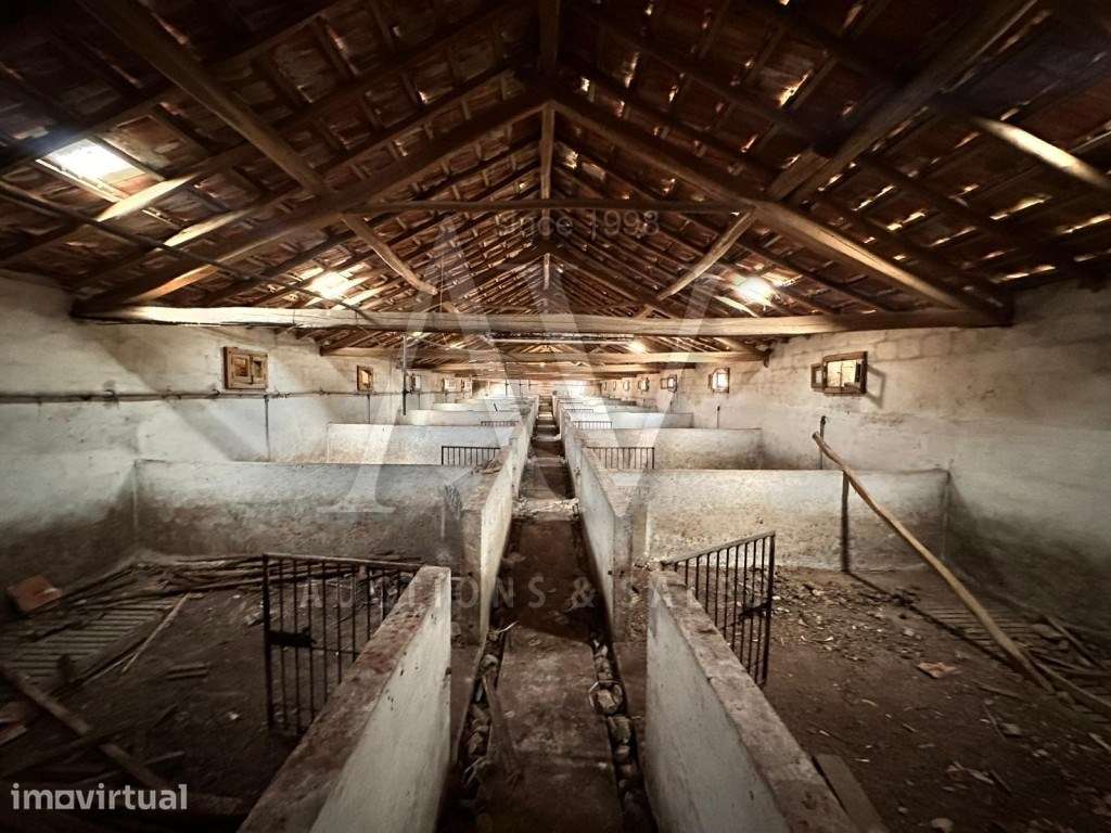 Pavilhões para criação de gado com arrecadações, logradouro e terre... - Grande imagem: 3/6