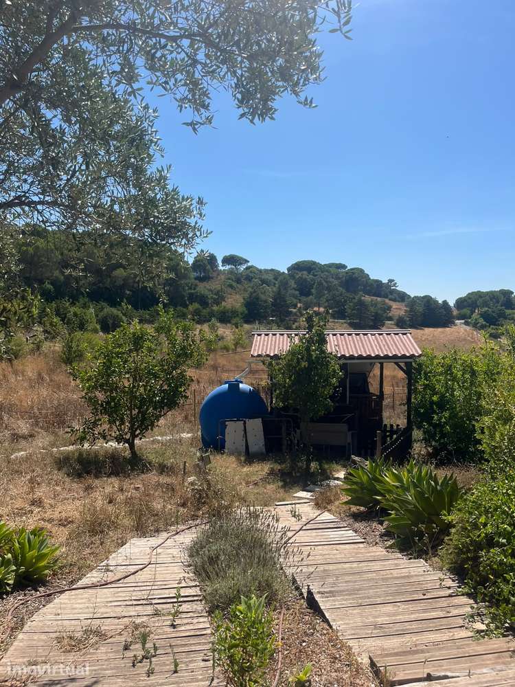 Herdade num ambiente verde - Grande imagem: 4/35