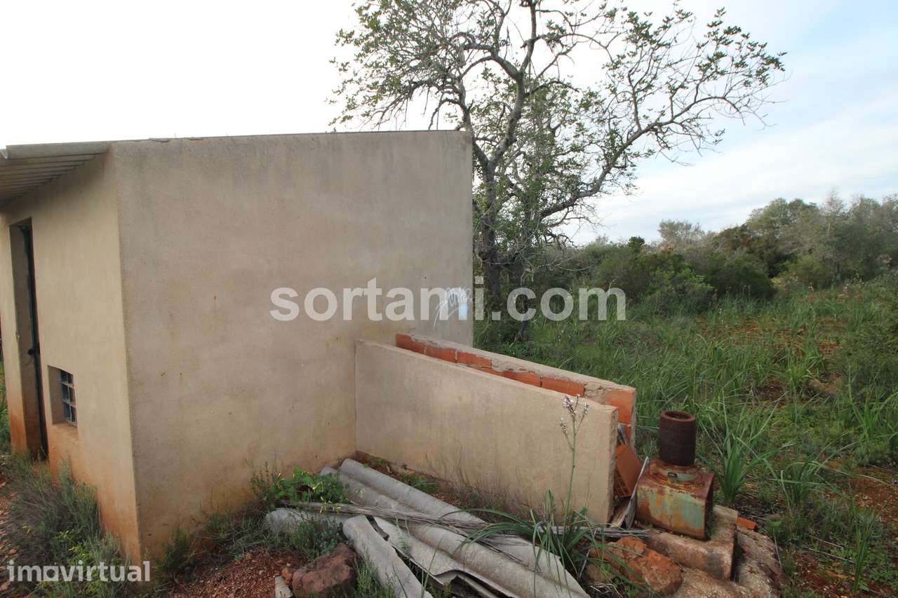 Terreno Rústico  Venda em São Bartolomeu de Messines,Silves - Grande imagem: 2/8