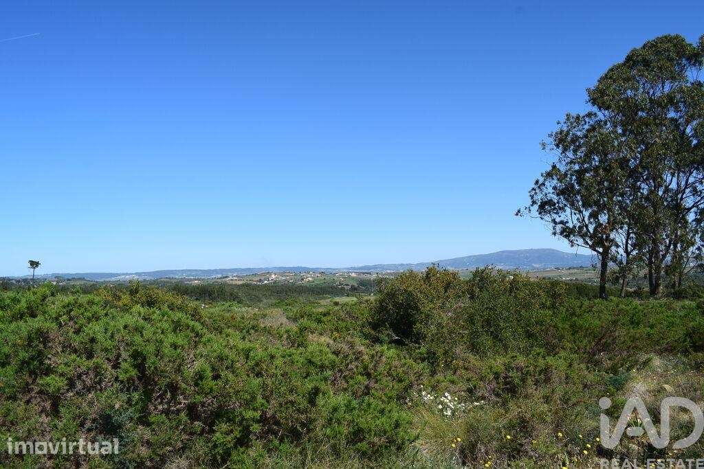 Terreno Agrícola em Carnota - Grande imagem: 4/34