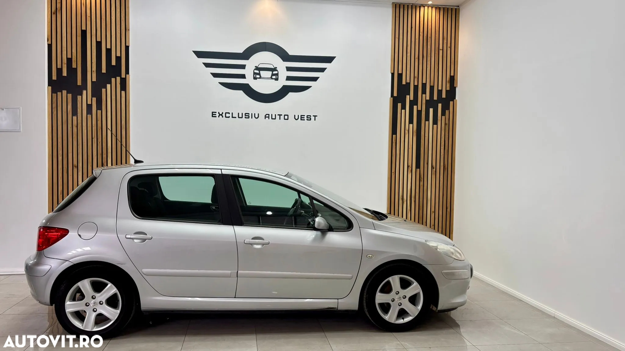 Peugeot 307 1.6 XS - 9