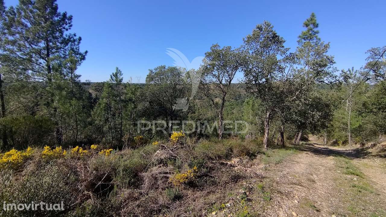 Terreno Rústico 4280 m2 - Grande imagem: 5/33