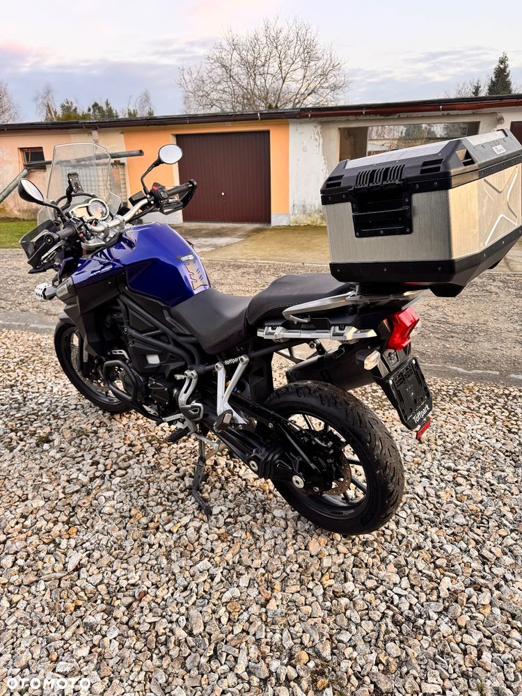 Triumph Tiger - 10