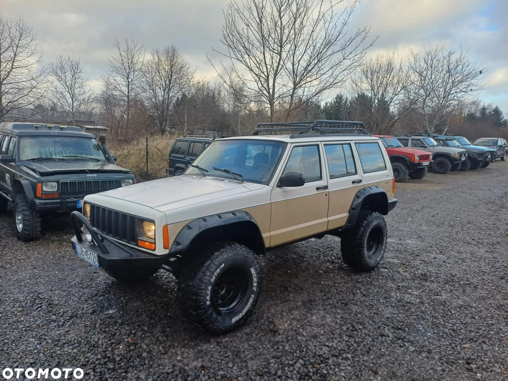 Jeep Cherokee 4.0 Limited - 10