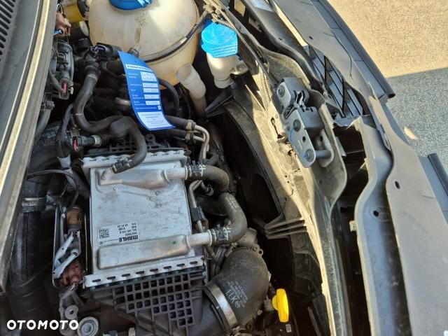 Volkswagen T6 - 21