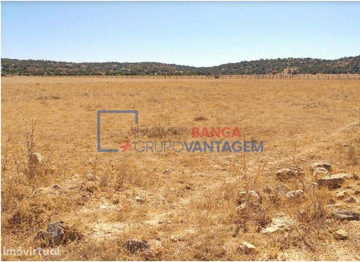 Terreno rústico com 8.980m² destinado a cultura arvense, situado em... - Grande imagem: 4/6