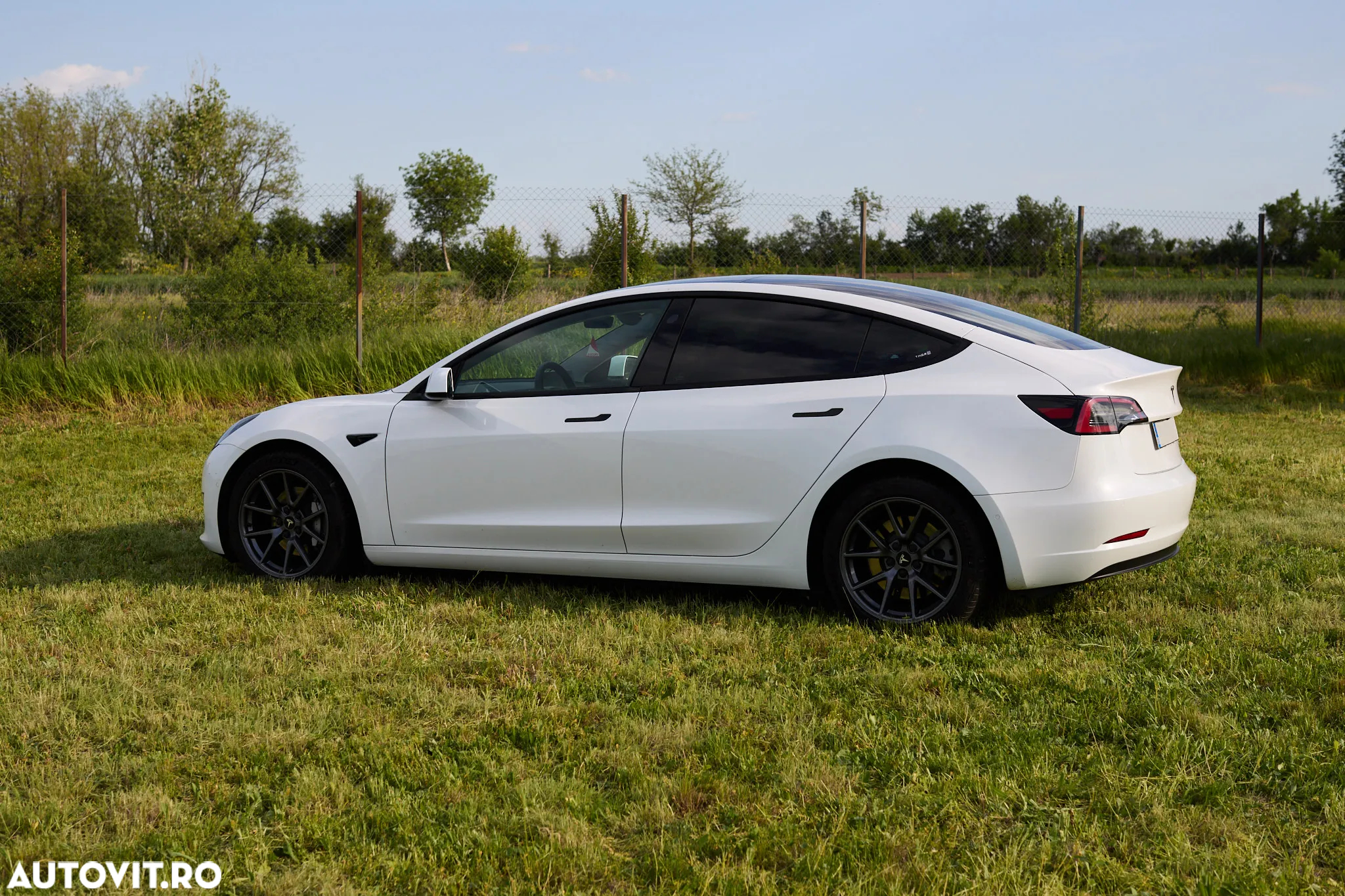 Tesla Model 3 Performance - 5