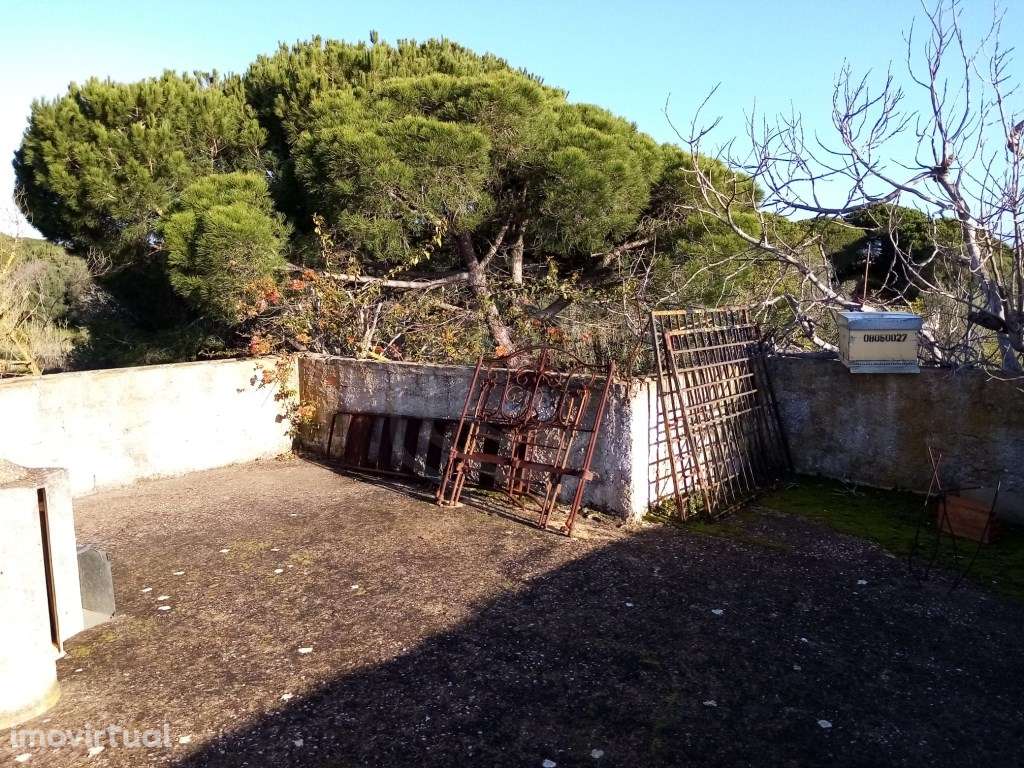 Casa antiga com 3 divisões, Loulé, Algarve - Grande imagem: 4/32