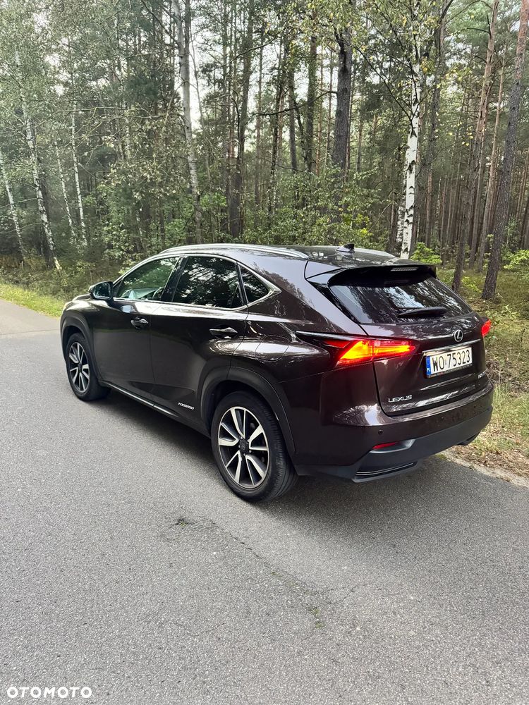 Lexus NX - 10