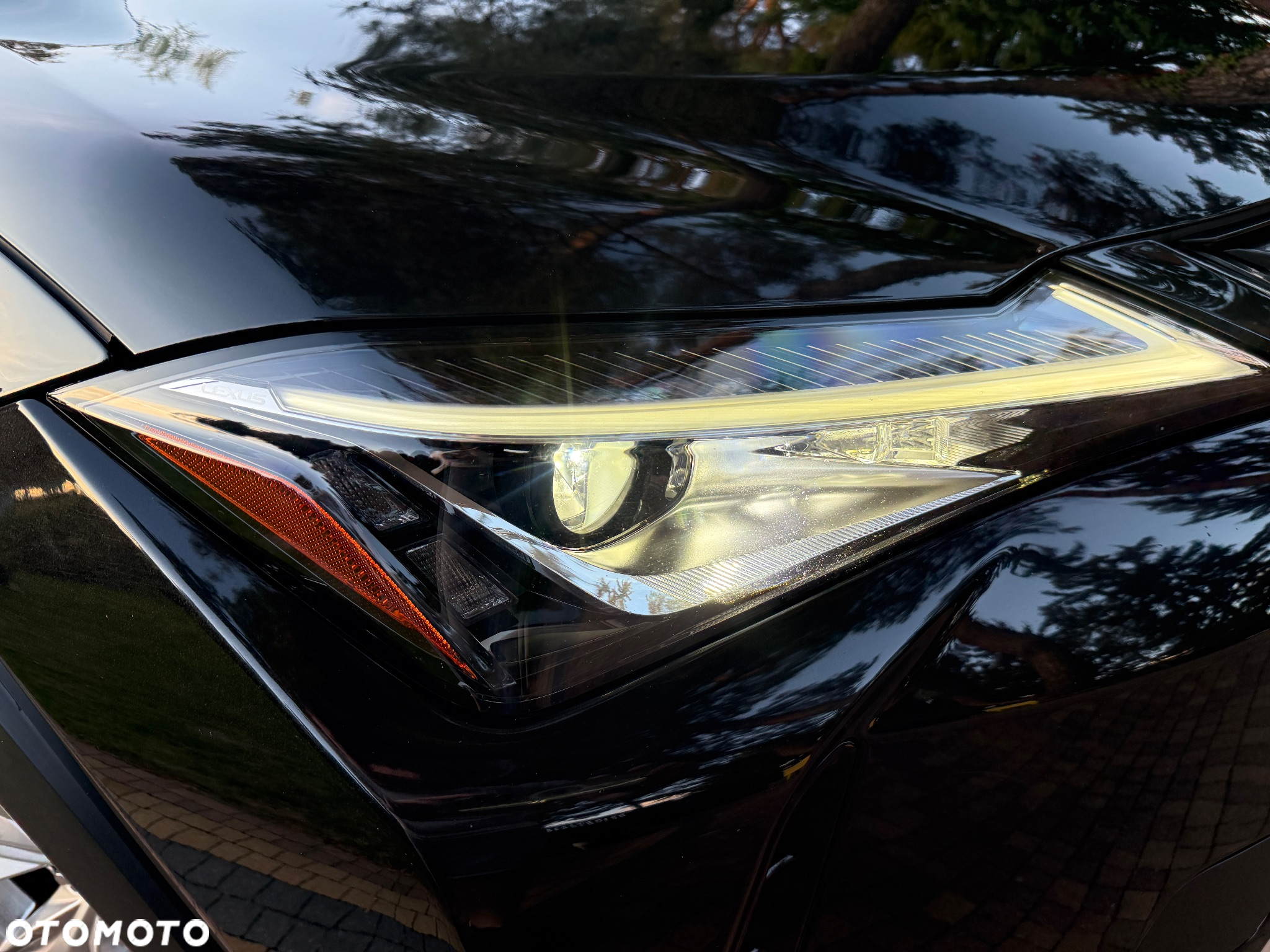Lexus UX 250h Business Edition - 10