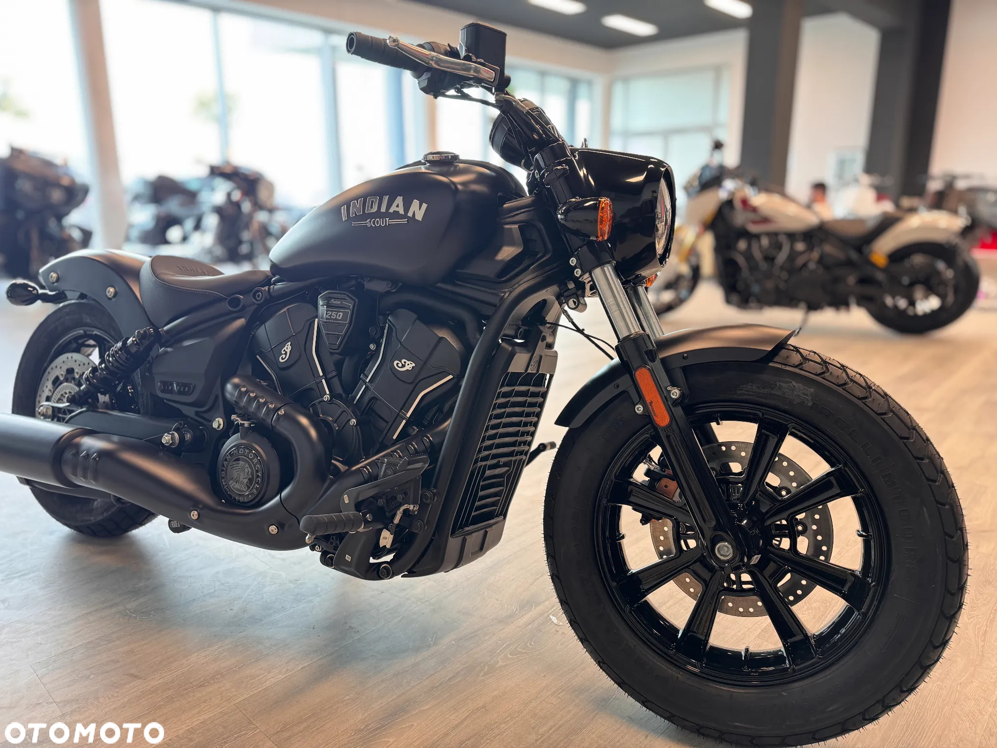Indian Scout - 5