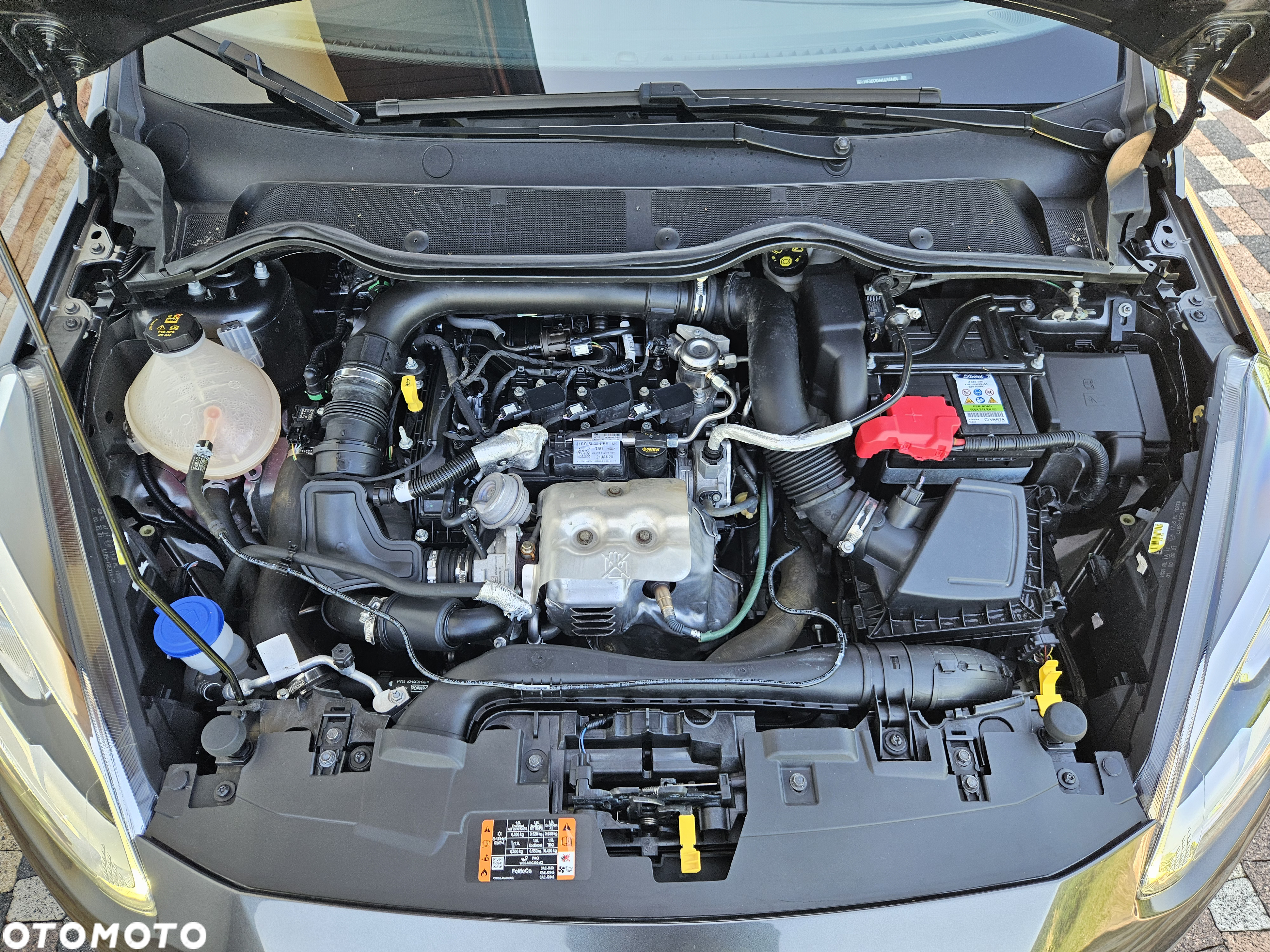 Ford Fiesta - 33