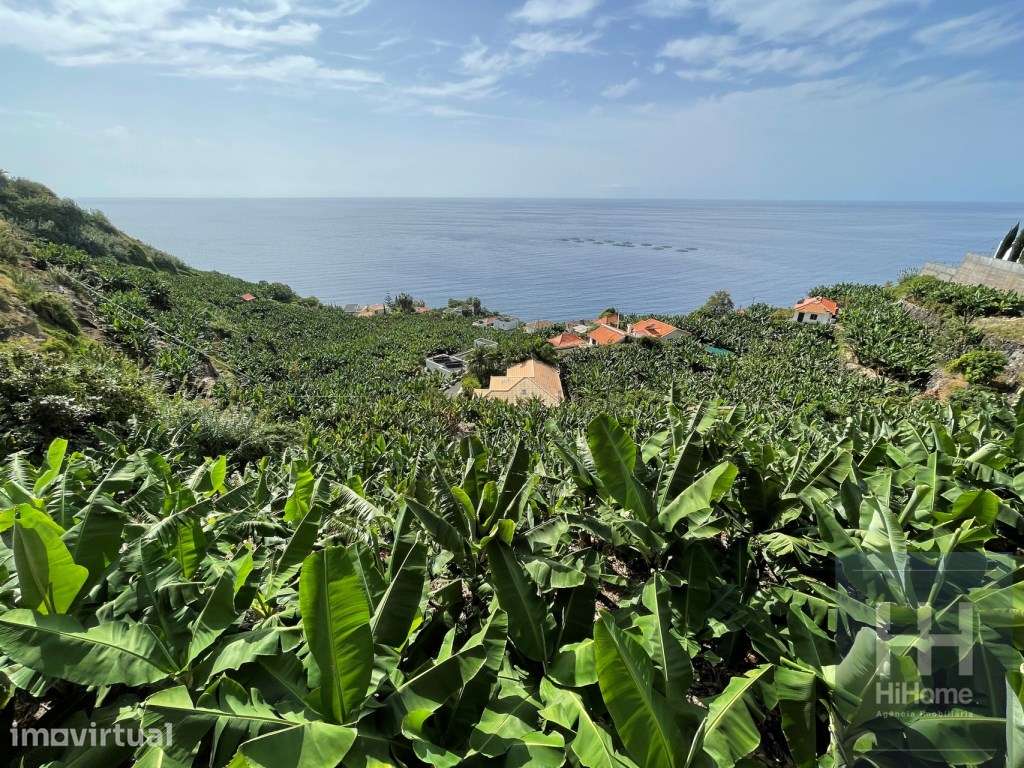 Terreno com 2.295m2 na Calheta, Madeira - Grande imagem: 3/15