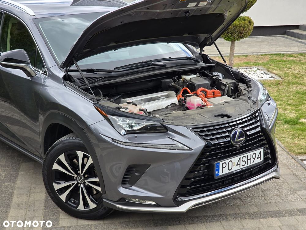 Lexus NX 300h Prestige AWD - 34
