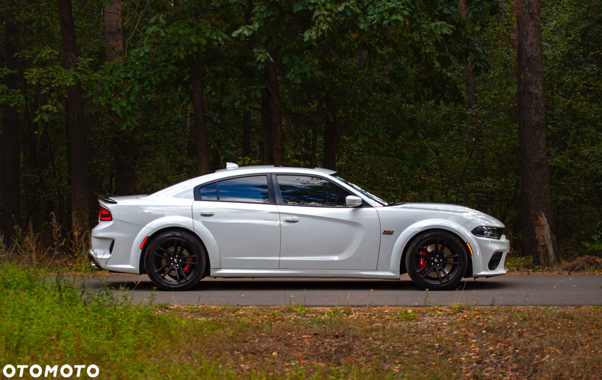 Dodge Charger 6.4 Scat Pack Widebody - 10