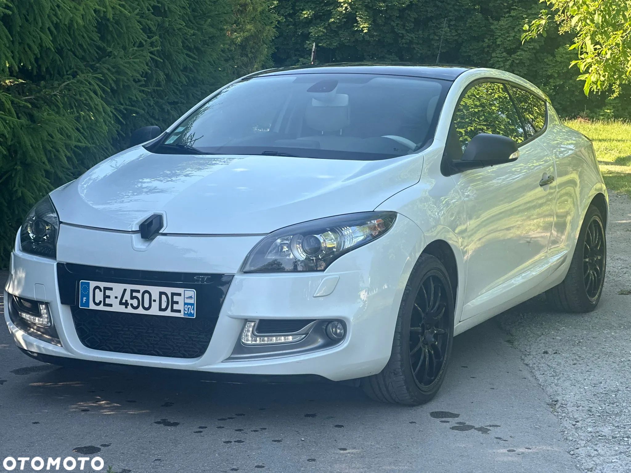 Renault Megane 2.0 16V TCE GT - 1