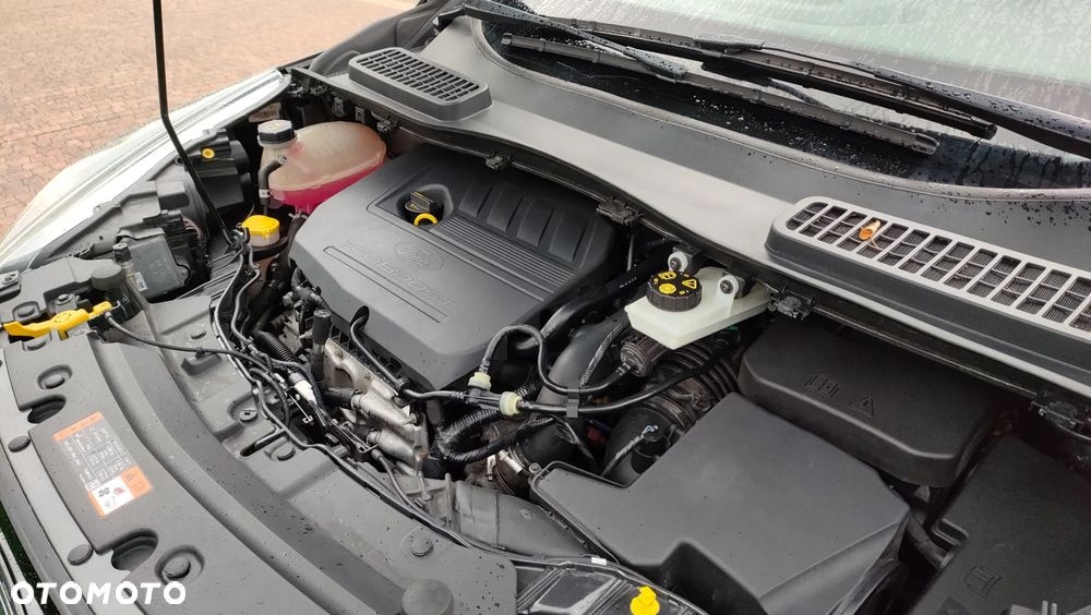Ford Kuga 1.5 EcoBoost 2x4 ST-Line - 14
