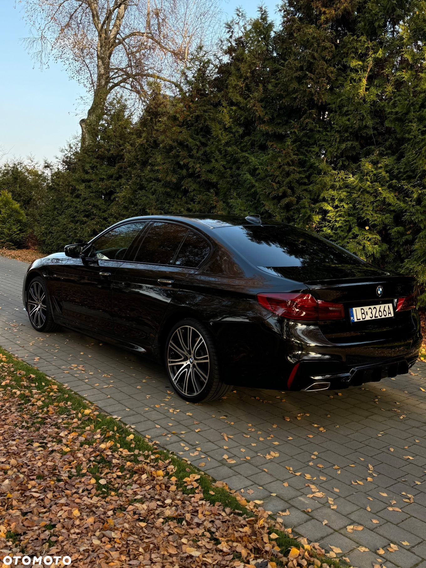 BMW Seria 5 540d xDrive M Sport sport - 5
