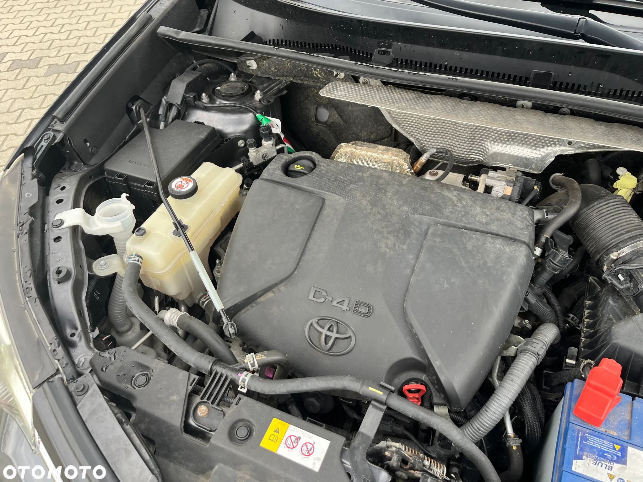Toyota RAV4 - 20