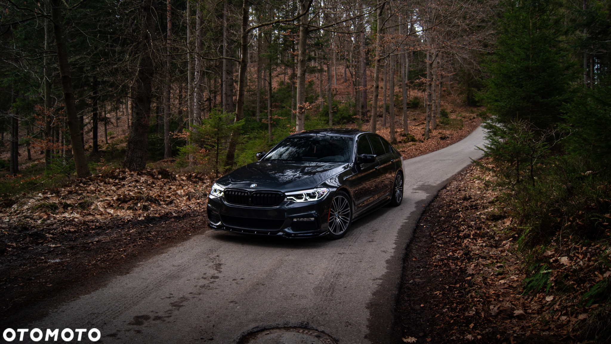 BMW Seria 5 - 8