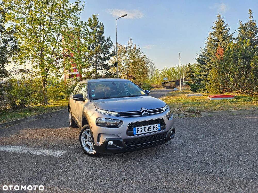 Citroën C4 Cactus 1.5 BlueHDi Shine Pack - 2
