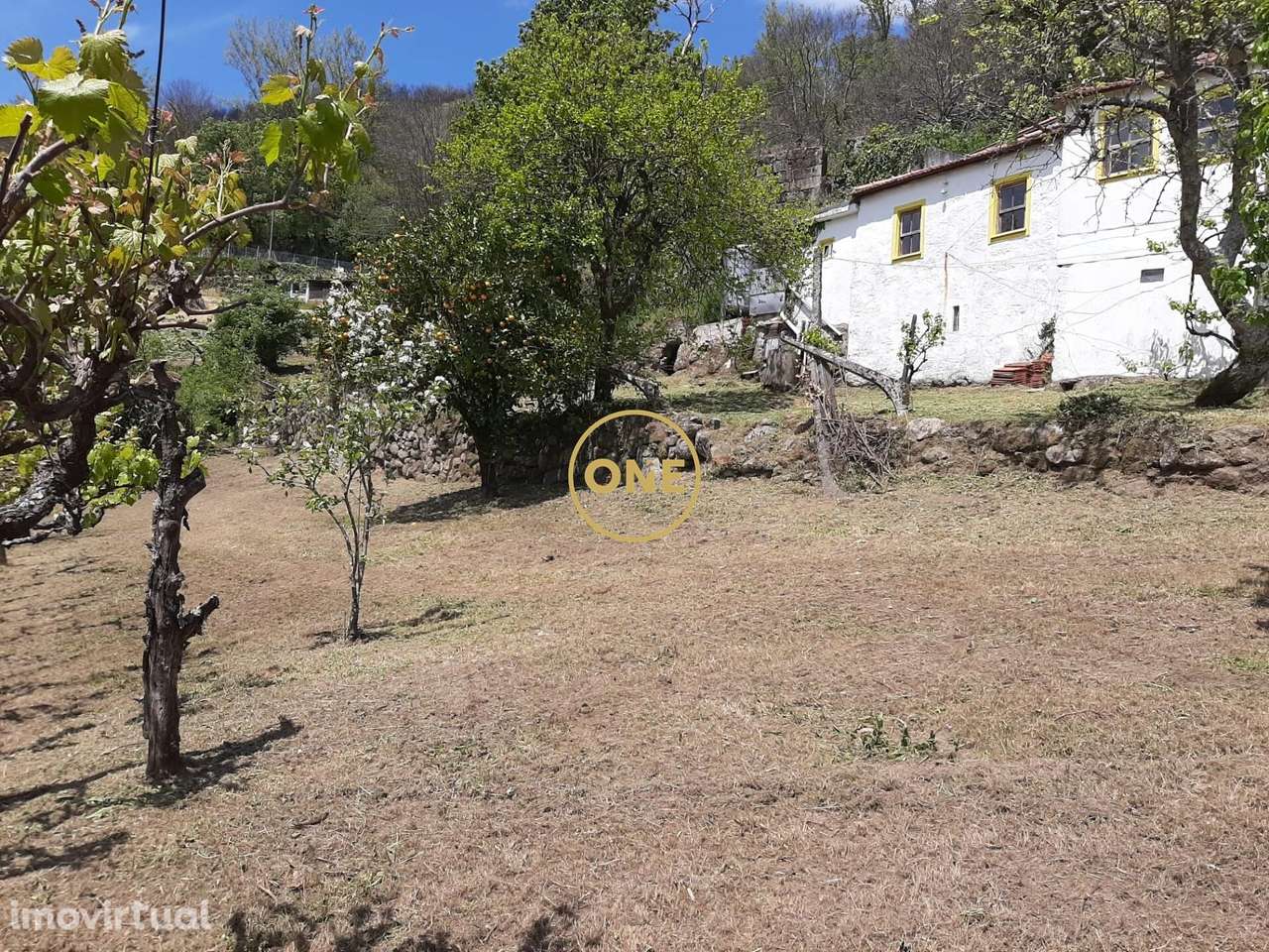 Venda Quinta/Herdade - Grande imagem: 5/17