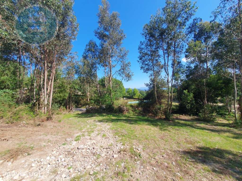 Terreno Construtivo em Vila Boa- Cabeceiras de Basto - Grande imagem: 4/10