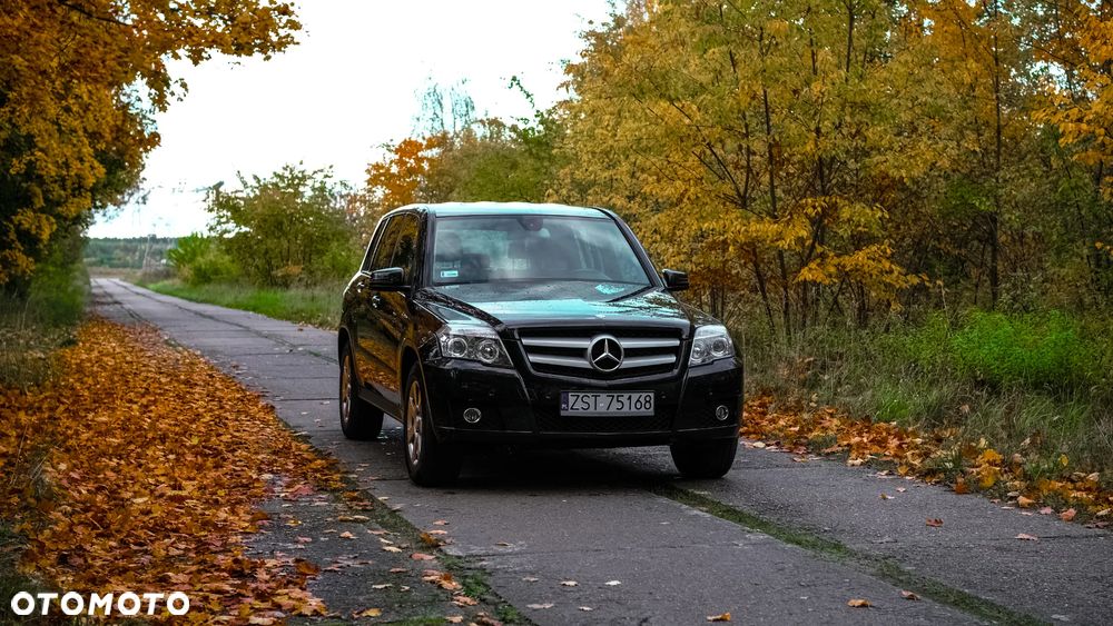 Mercedes-Benz GLK 200 CDI DPF BlueEFFICIENCY - 3