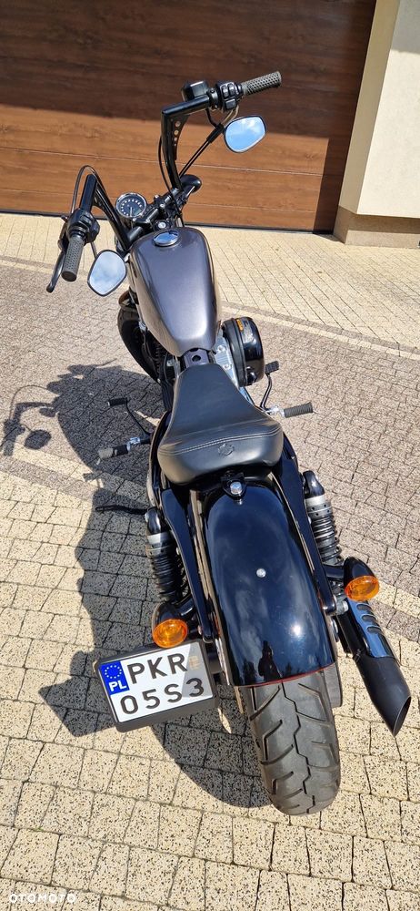 Harley-Davidson Evolution Sportster - 13
