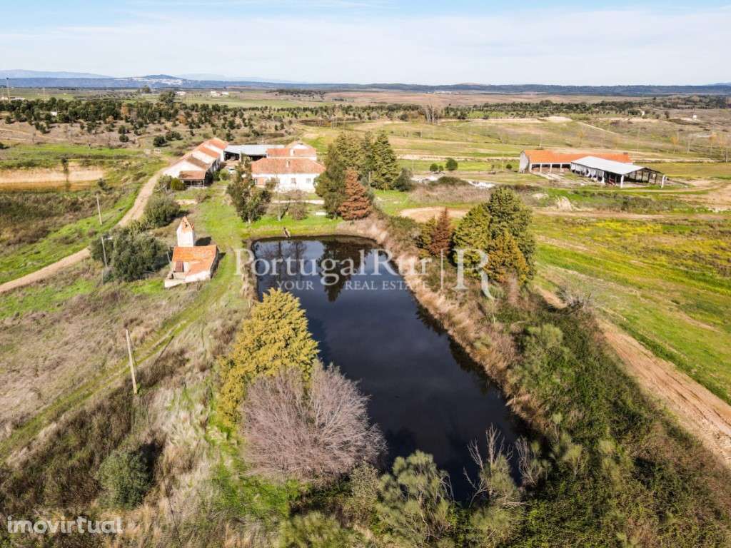 Quinta com casa de habitação T5 e diversas construções - Grande imagem: 3/60