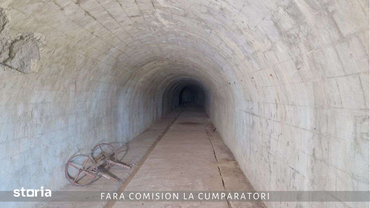 Poza 7