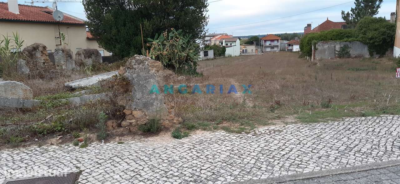 ANG959 - Terreno para Construção à Venda na Vila de Monte Real, em Lei - Grande imagem: 3/7