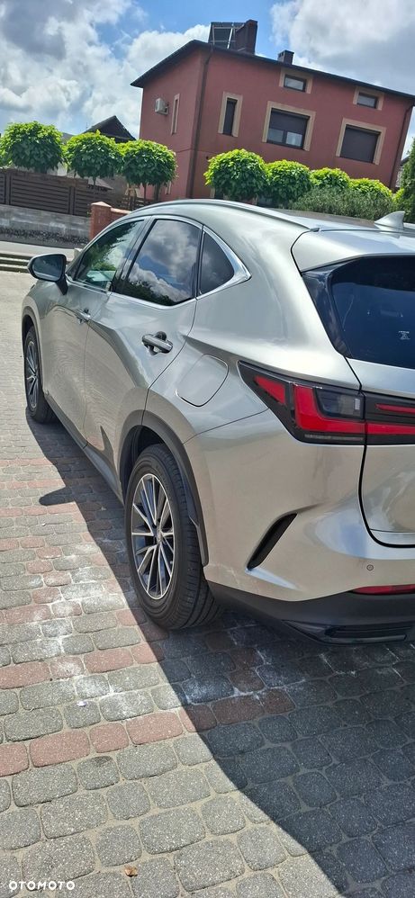 Lexus NX - 4